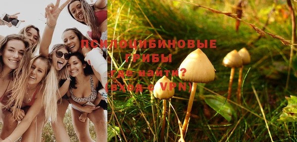 MESCALINE Нязепетровск