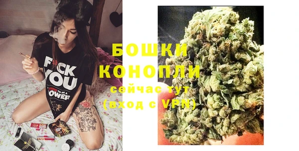 хмурый Няндома