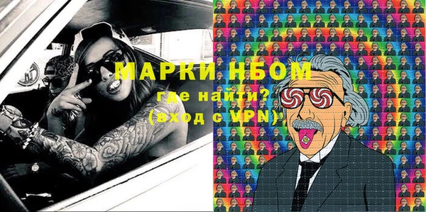 хмурый Няндома