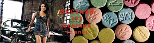 гашик Новодвинск