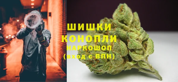 гашик Новодвинск