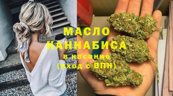 гашик Новодвинск