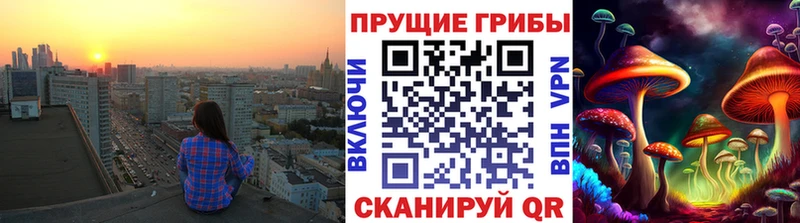 МЕГА как зайти  Зубцов  даркнет как зайти  Галлюциногенные грибы Cubensis 